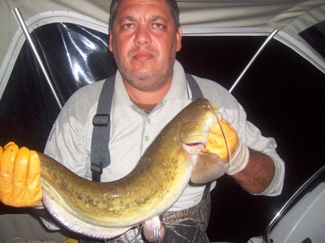 delta rosu 2009 - sany7983.JPG